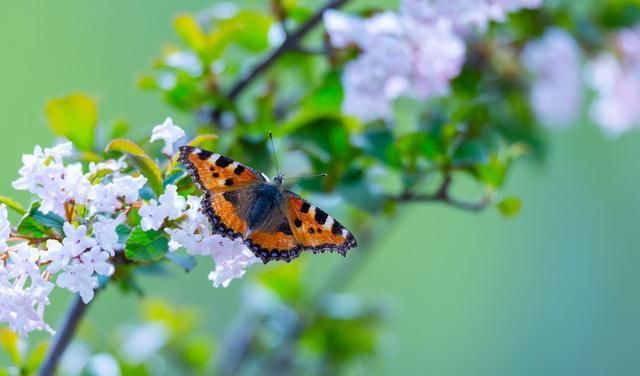  「十全十美」2019退休族新标准，你达标了吗？