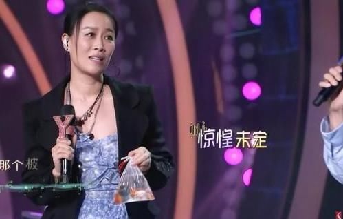 肖战那英小金鱼掉了