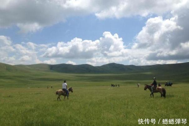 为什么广袤的大草原上长满青草,就是没有看到有几棵树呢?