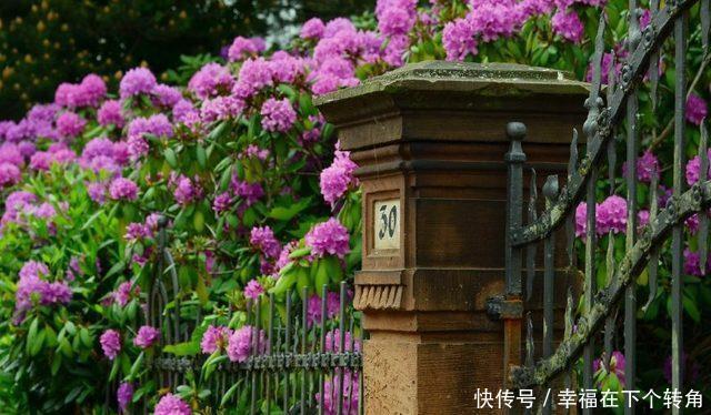  「快乐」篱笆小院住在乡村的快乐，你想体验吗！