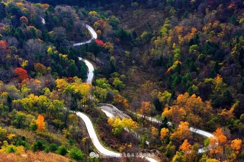 这处藏在秦岭深处的绝美秋景，让人叹为观止，绝对不能错过