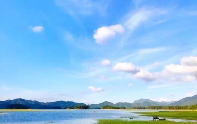 比青岛慢,比厦门小清新,广东这座小城不出名却是拍照胜地