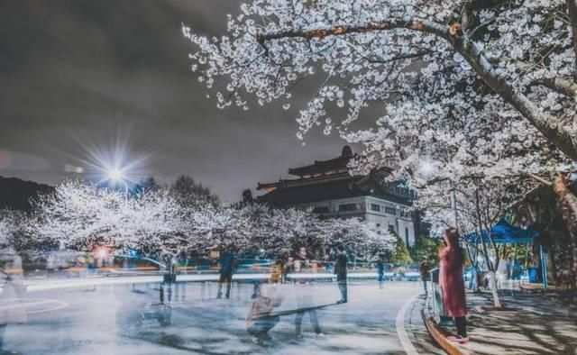  「究竟」云看花，中国美丽高等院校究竟看哪儿？