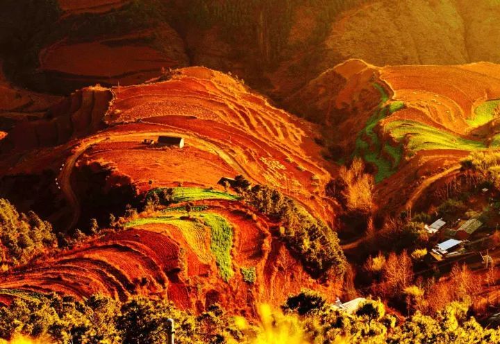 3月云南，这里最值得去！