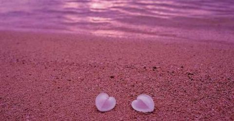 全球最具少女心的沙滩 一眼望去都是粉红色 美的一塌糊涂