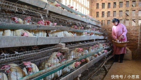 下月起，农村将迎来3个“难题”，八成农民都要面临！