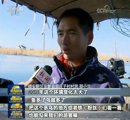  【新区】2019雄安新区建设得咋样了？今晚的新闻联播给出了答案