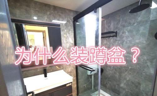  『干湿分离隔』老婆想用马桶我爱用蹲盆，最后马桶和蹲盆一起装，这效果怎么样？