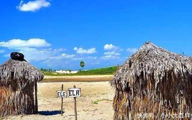 去旅游时去玩的时候突然想上厕所，但是附近没有厕所你会怎么办？