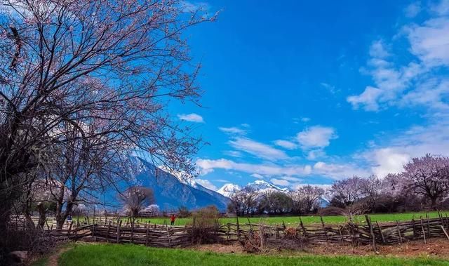全国最大桃花基地！万亩花开成海，还不要门票！