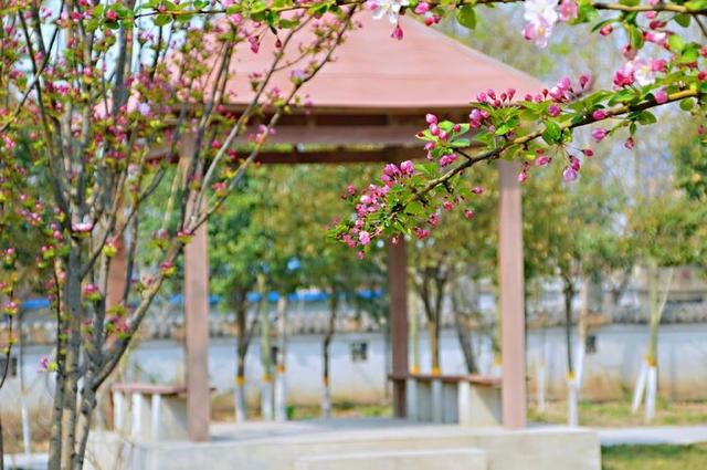 三月春暖花开,又到了寻花问柳的季节!