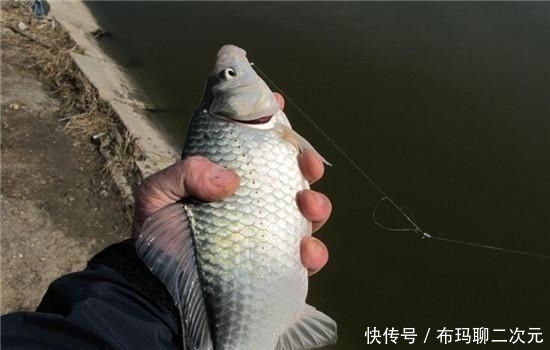  『各有千秋』传统和悬坠钓法各有千秋，优劣势互补才能更好的体验垂钓的乐趣