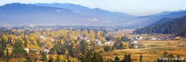 秋天的云南,哪个地方最美?这里的三千银杏,黄了整个世界