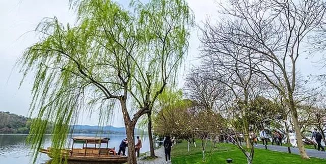 “上有天堂，下有苏杭”，苏州为什么排在杭州前面？今天算明白了