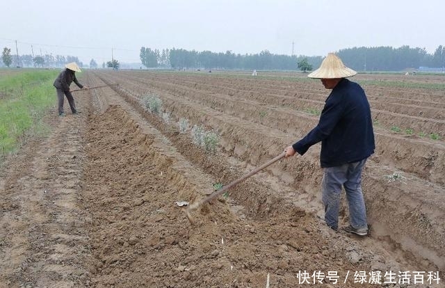  「确权」11月起！农民朋友们注意了！农村这2个值10万的证书抓紧