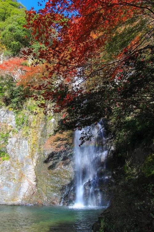 打败苏州，成为亚洲最宜居城市，大阪凭什么？