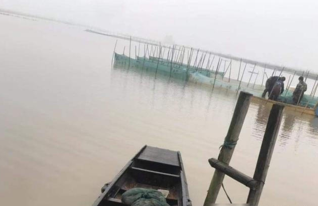  发家致富|曾当作发家致富项目，如今却成了烫手山芋，养殖户哽咽