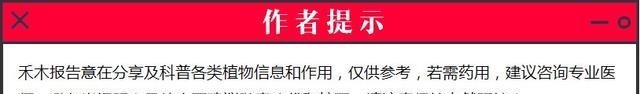 它曾是穷苦人的救命野菜,老农民才认识,如今9元一斤成稀罕货！