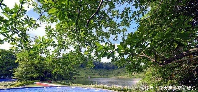 实力不敌佛山，却敢叫板广州 深圳，被称为广东最大胆的城市