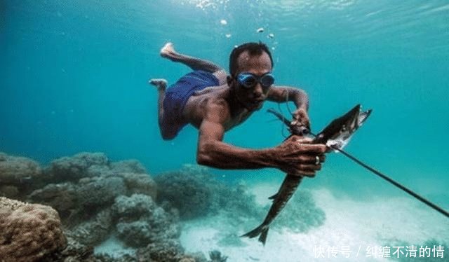 世界上唯一“活在海底”的民族, 海底行走自如, 上岸却会头晕