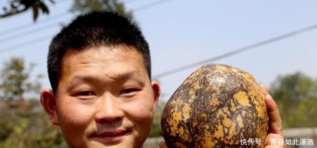 湖北宜都奇石宝贝现茶乡，这3类石吃香，雕刻黄金玛瑙升值10倍