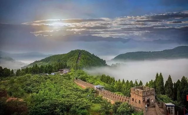 赏花踏青正当时 蓉城首届花朝季来了【2020热门旅游景点】