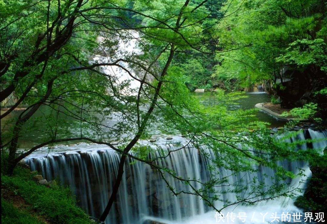 “老家河南”信阳鸡公山风景秀丽,游客却说最大看点不是这些