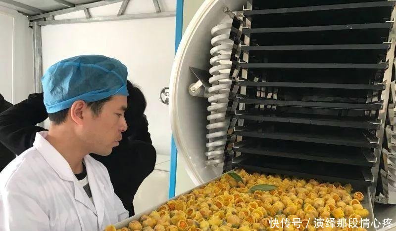  「李时珍」李时珍一辈子没找到的花,广西贫困户种它发大财