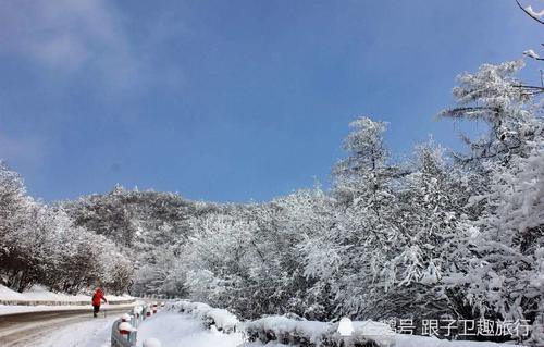 秦岭最热门的骑行和自驾线路 盘旋于崇山峻岭之中 奇险而又刺激