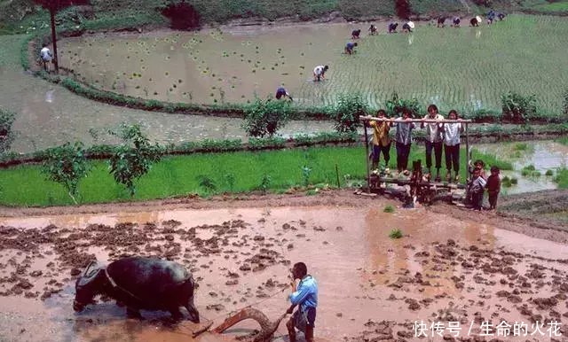  【真实】80年代农村真实老照片：每一张都是一段珍贵的童年记忆