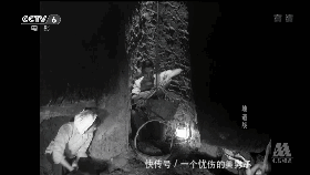 央视跨年是不是重播