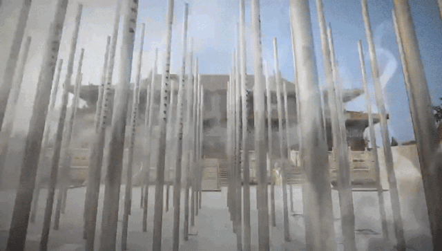 从“爸妈牌”到“刘雯”最爱,不设限就有万般可能