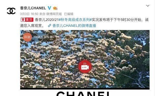  「巴黎时装周」都没想到，我可以在家里啃着薯条看服装「云直播」！