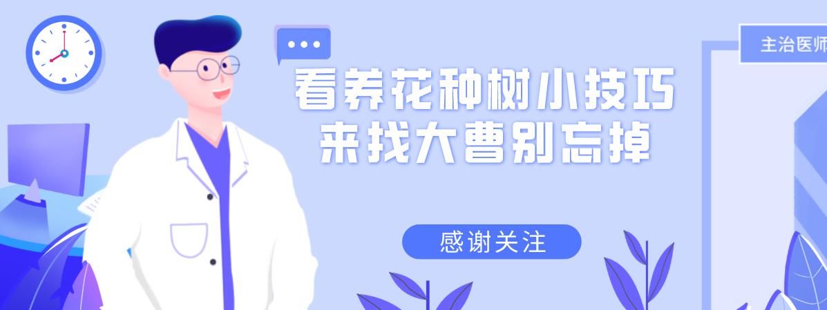  「难度」喜欢悬崖式，就是造型有难度？其实只因为心中没图，这里参考有数
