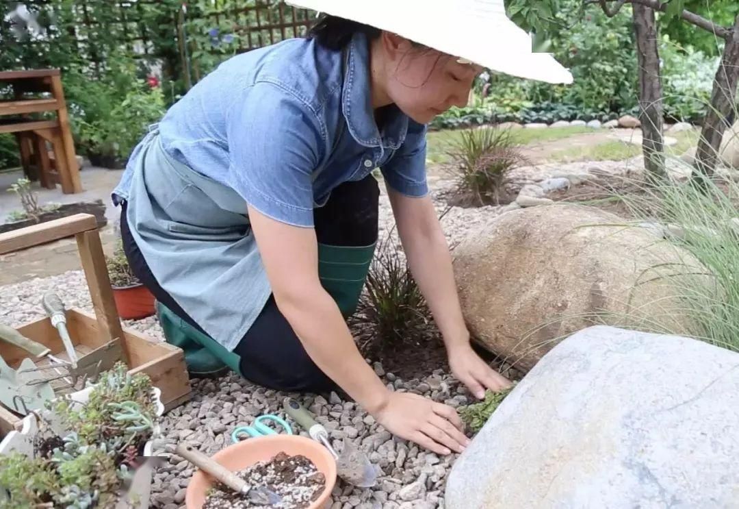  『花房』你在梦想有一个花房的时候，别人家的姑娘已经用一亩地实现了