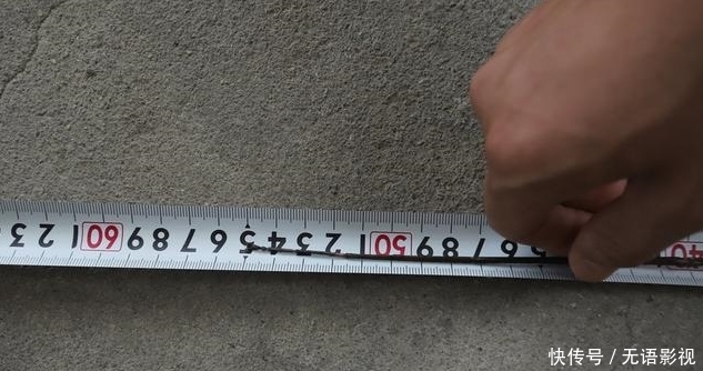 你对“长虫”的概念一无所知，55厘米的长虫，还只是国内第二