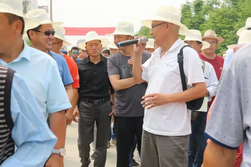 庭院深深，中式庭院 · 怡然自得
