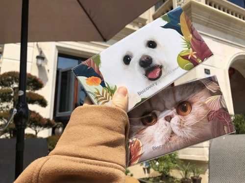  「值得」哪些国货彩妆值得买？盘点热门又好用的国货彩妆，超平价！