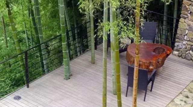  「小院」理想中的乡村小院