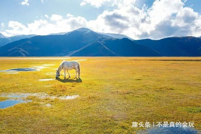 从天堂跌落人间的村子——云南 纳帕海