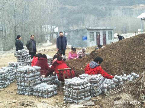  人称@人称“陆地鱼”，20斤晒干仅剩2斤，一斤900元，野生的几乎