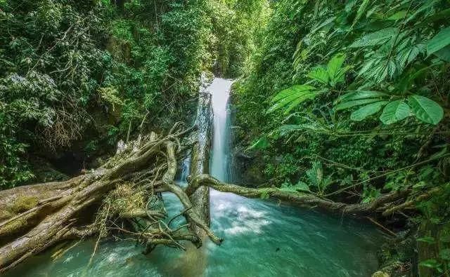  #邂逅#在大山深处邂逅古老神秘的千年瑶族，感受原生态的瑶族风情