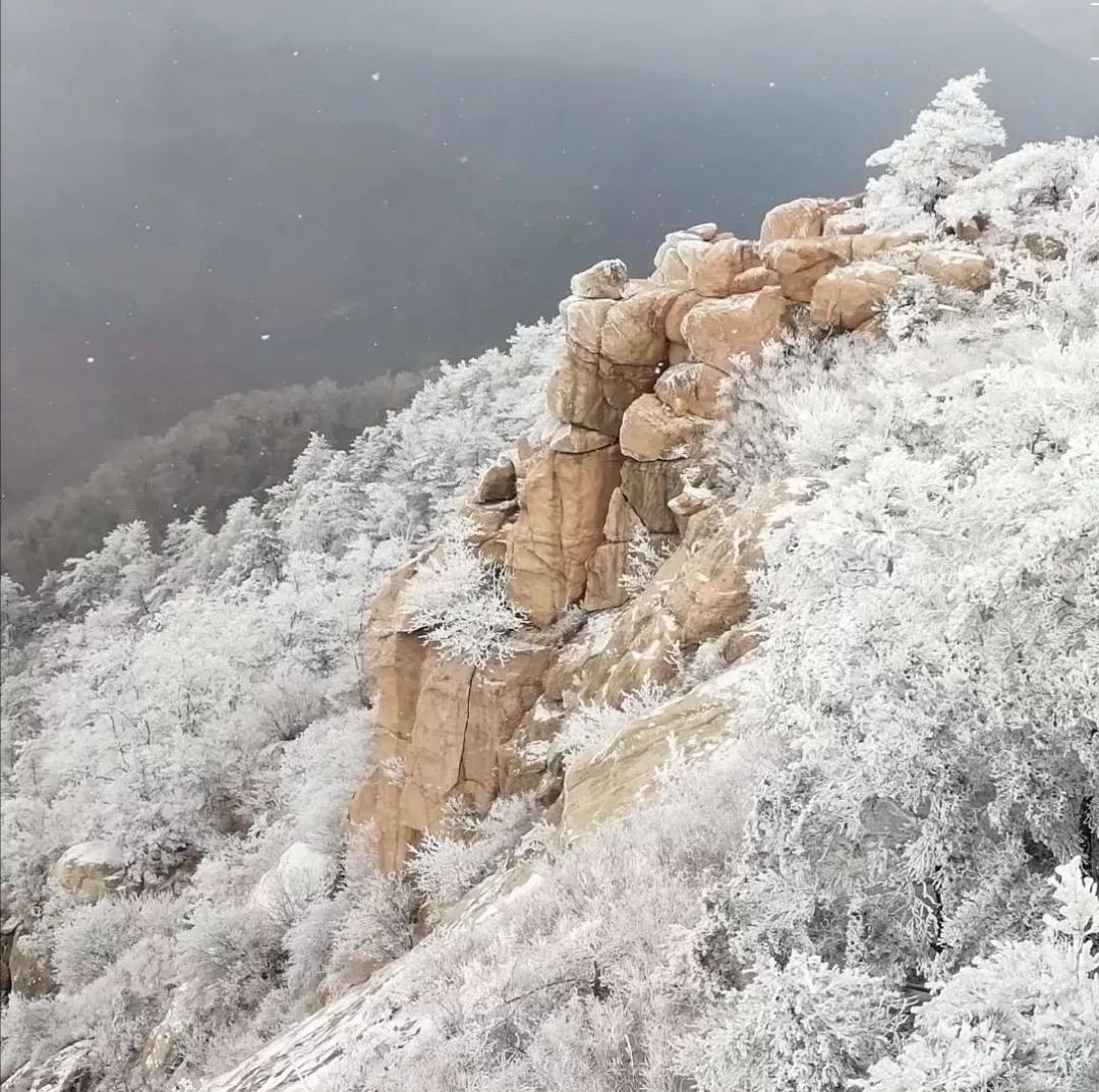 潍坊喜迎新年第一场雪！这里的雪景最好看！