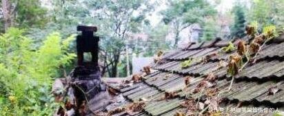 “建议禁止农村柴火做饭”，老农3理由打脸专家，专家怒怼8字！