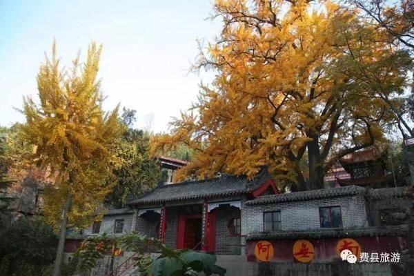 “高铁环游齐鲁”专享!鲁南高铁沿线40多家景区推出门票优惠