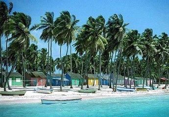 加勒比海两国之岛,一个贫穷一个富裕;其中一国