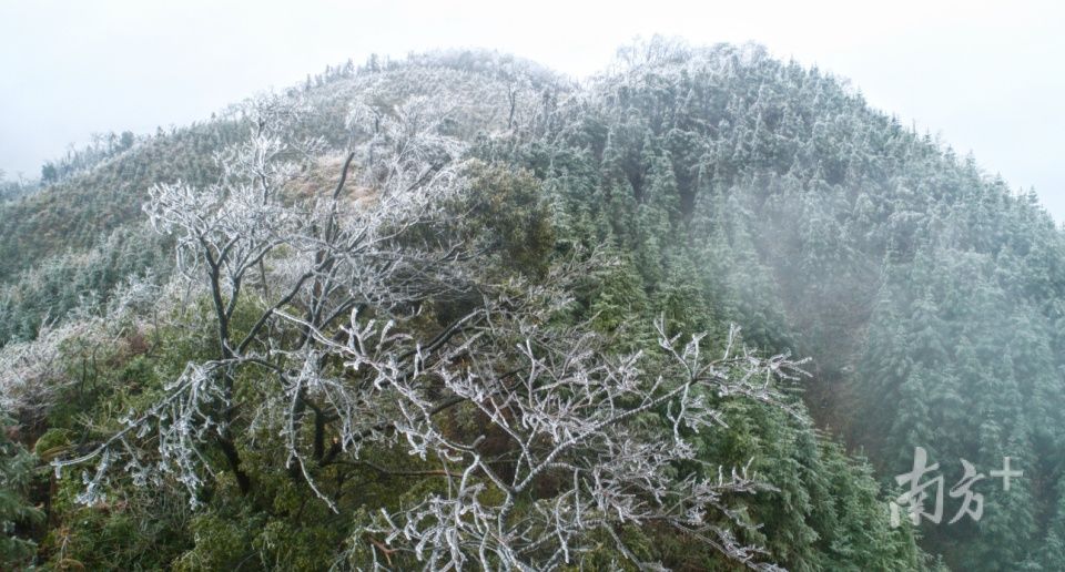 粤有料|重塑经济地理，广东决定这么干!