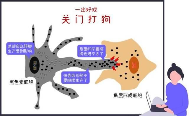  顶级@顶级流量【烟酰胺】，为什么你用了却不白？