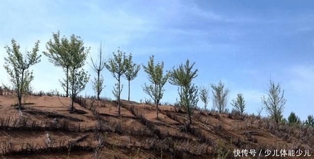 中国又一“逆天”工程，将黄河水引入沙漠，演绎沙漠变绿洲！