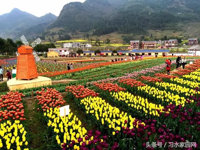 贵州居然要改名了！据说新名字是……